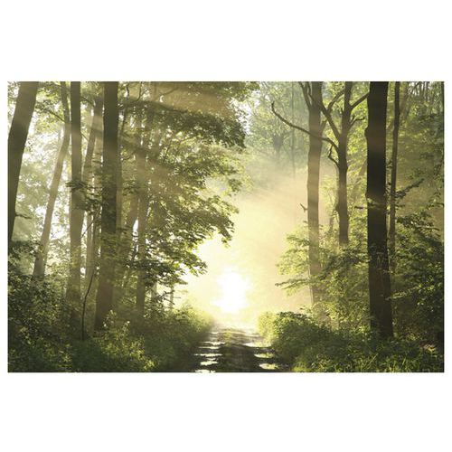 Cadre De Décoration Hauteur 65 Cm Largeur 98 Cm Forêt