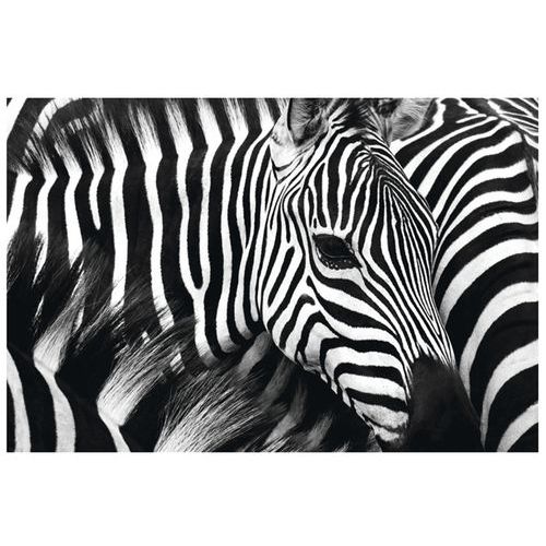 Cadre De Décoration Hauteur 65 Cm Largeur 98 Cm Zèbre