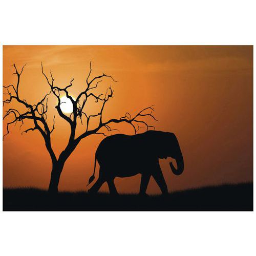 Cadre De Décoration H 65 Cm Largeur 98 Cm Eléphant D'afrique