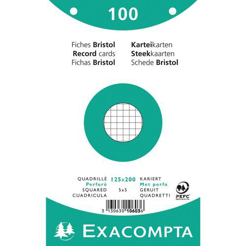 Paquet 100 Fiches Blanc Film Quadrillé Perforé 125x200mm