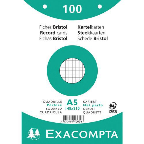 Paquet 100 Fiches Blanc Film Quadrillé Perforé 148x210mm