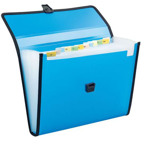 Set 5 Trieurs Valisette Pp 13 Compartiments Assorties