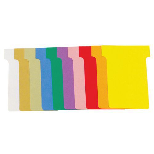 Set De 10 Ã‰tuis De 100 Fiches En T NÂ°2 Assortis