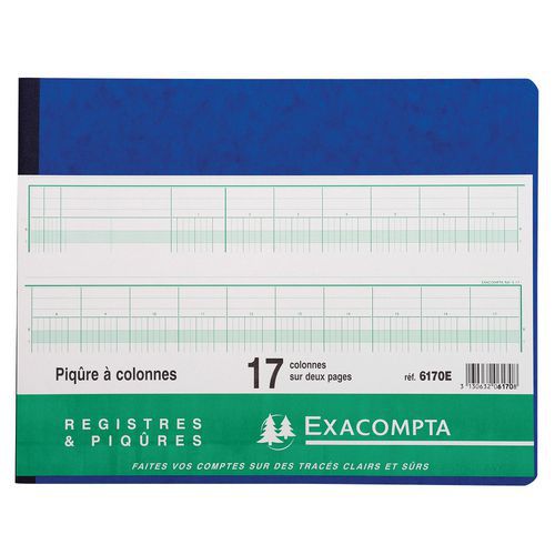 Piqûre 25x32cm 17 Colonnes Sur 2 Pages 24 Lignes 80 Pages