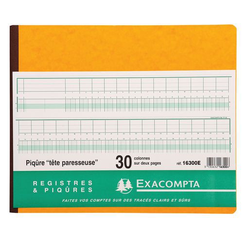 Piqûre 27x32cm à Tête Paresseuse 30 Colonnes Sur 2 Pages