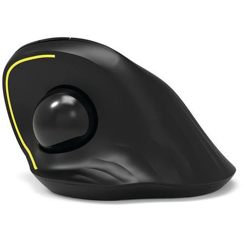 Souris Trackball Sans Fil IMAGE - Laser, Rechargeable, Pour Droitiers - Noir
