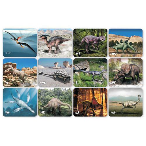 Cartes et radiographies dinosaures (24 pièces) thumbnail image 1