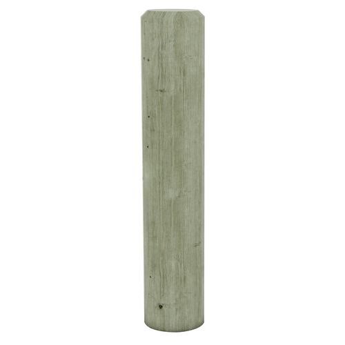 Bornes Pin Rondes Fixes D15 Cm H 100
