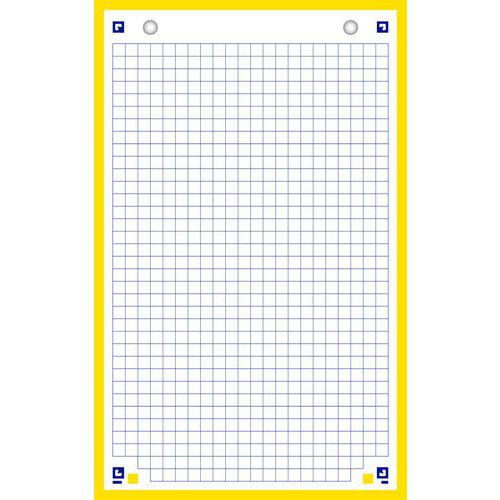 Bloc De 60 Fiches Bristol Oxford - Format 12,5 X 20 Cm, Réglure Petits Carreaux 5 Mm, Perforées 2 Trous