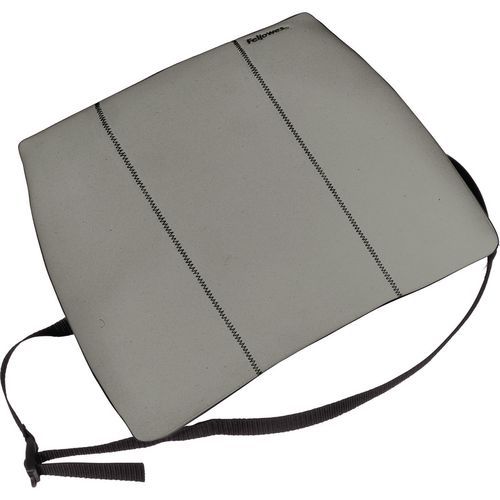 Support Dorsal Fin Gris Platine Fellowes