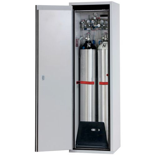 Armoire De Sécurité Pour Stockage 2 Bouteilles De Gaz 50l