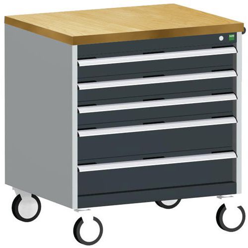 Bott 1 Armoire à Tiroirs Roulante Cubio Slr-867-5.3 - Bott