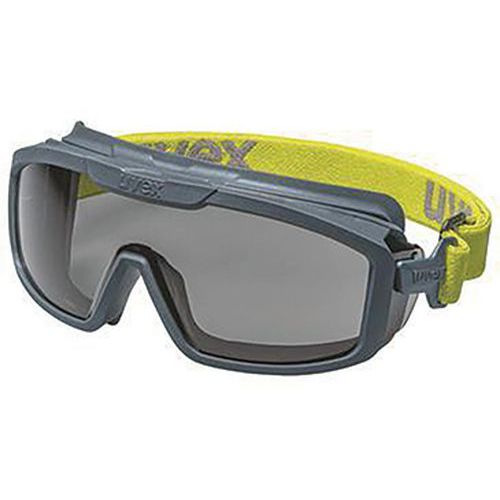 Lunettes-masque I-guard+ - Gris/vert