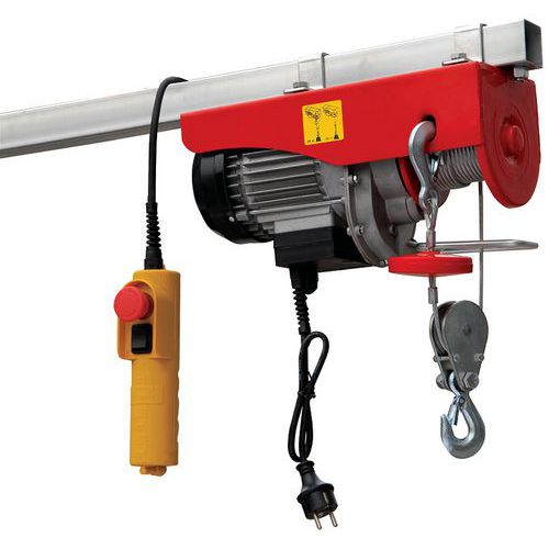 Mini-treuil Électrique 250 Kg