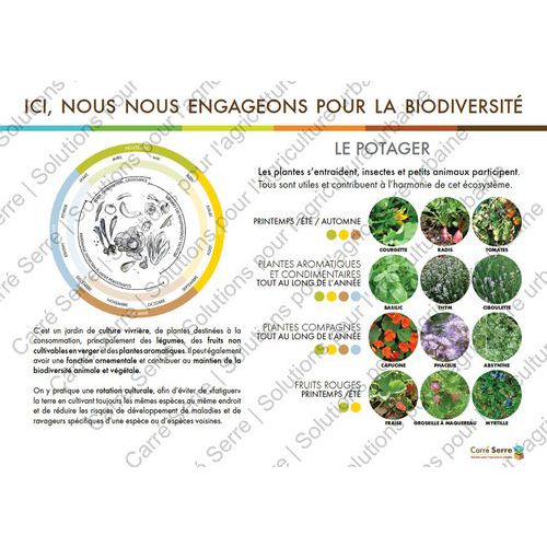 Panneau Éducatif - Le Potager