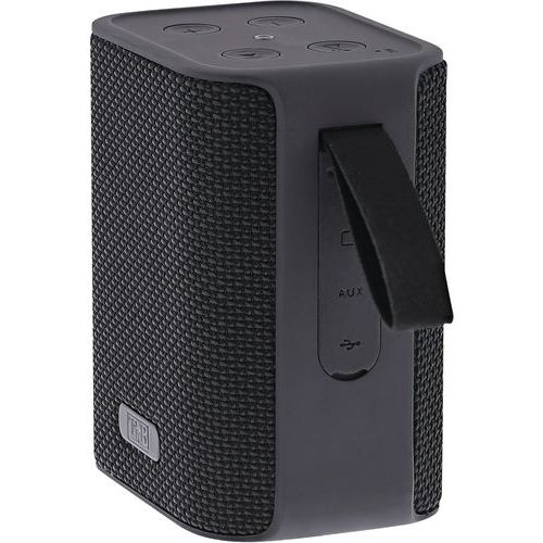 Enceinte Sans Fil Tws Record V1 2e Génération - Noir