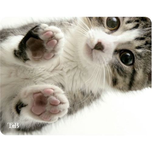 TNB - Tapis de souris Kitty Multicolore PVC - 220x180mm - Design illustré