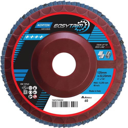 Disque à Lamelles Easytrim Ø125x22mm Grain 60