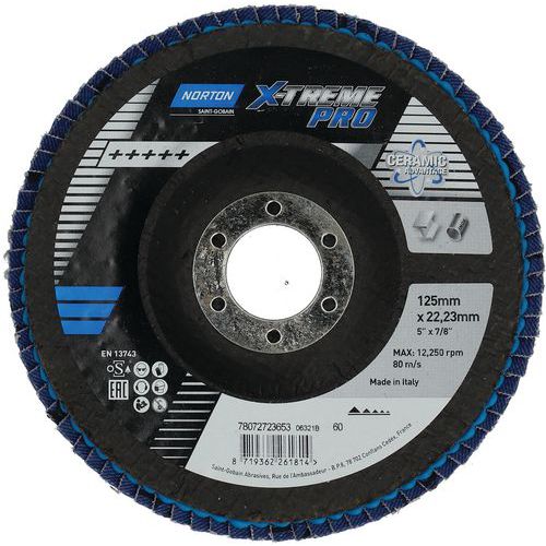 Disque à Lamelles X-treme Pro Ø125x22mm R928mm Grain 60