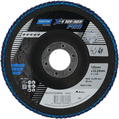 Disque à Lamelles X-treme Pro Ø125x22mm R928mm Grain 80