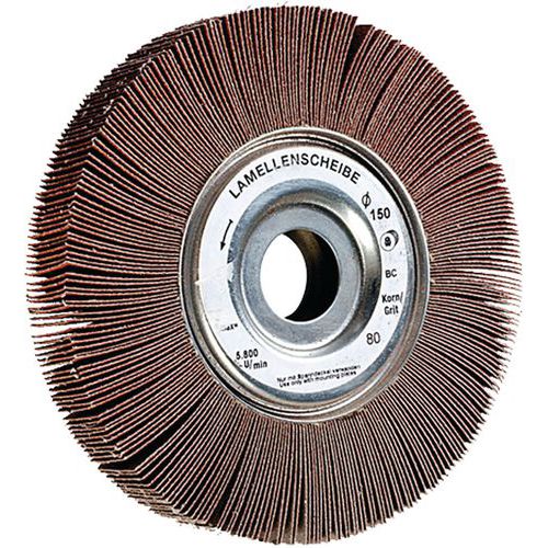 Roue à Lamelles Métal Ø100x25x25mm Grain 60