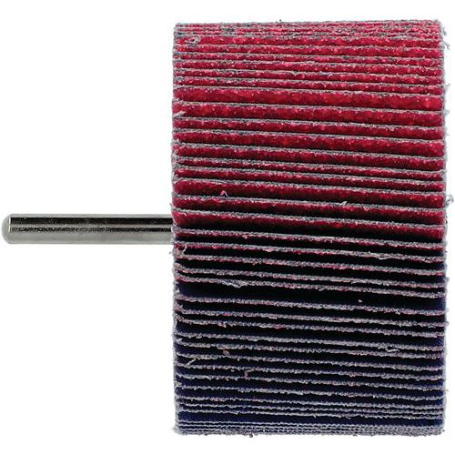 Roue à Lamelles Sur Tige Quantum Ø80x50x6mm Grain 60