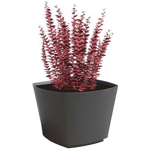 Jardinière Das Jardinière Das