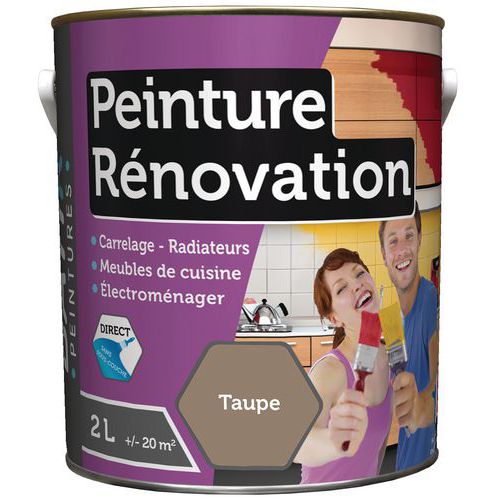 Peinture Renovation Satin Batir - 2l Btaupe