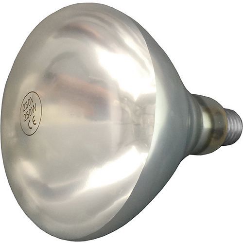 Ampoule Pour Lampe Chauffante E27