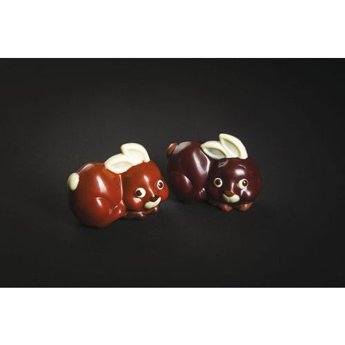 Plaque Chocolat Deux Empreintes Pour Petit Lapin - 100x75 Mm