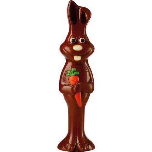 Plaque De 2 Empreintes Pour Un Lapin Bunny