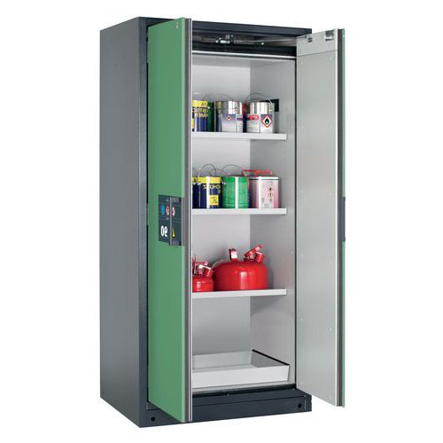 Armoire Sécurité Q-pegasus-90 Q90.195.090.wdac Gris/vert