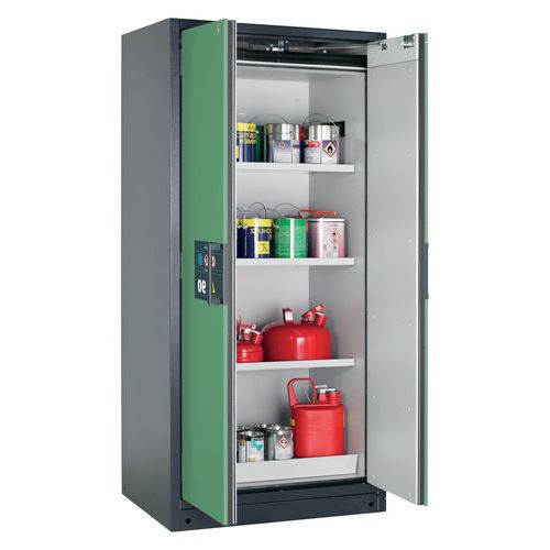 Armoire Sécurité Q-pegasus-90 Q90.195.090.wdac Gris/vert