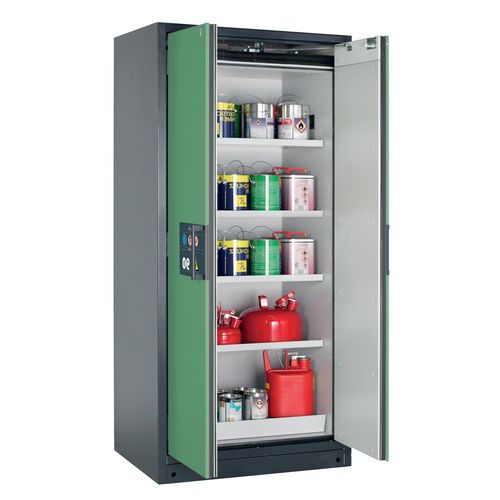 Armoire Sécurité Q-pegasus-90 Q90.195.090.wdac Gris/vert