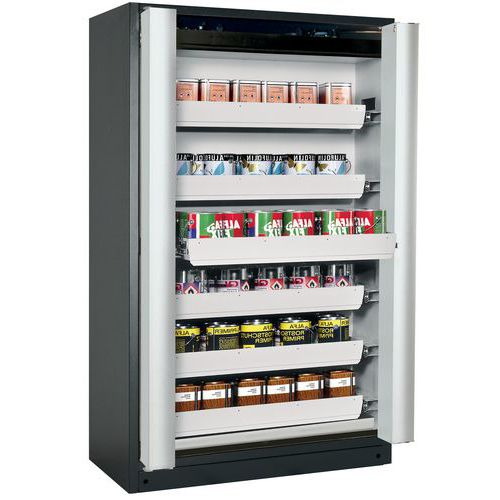 Armoire Sécurité Q-phoenix-90 Q90.195.120.fd Gris/gris