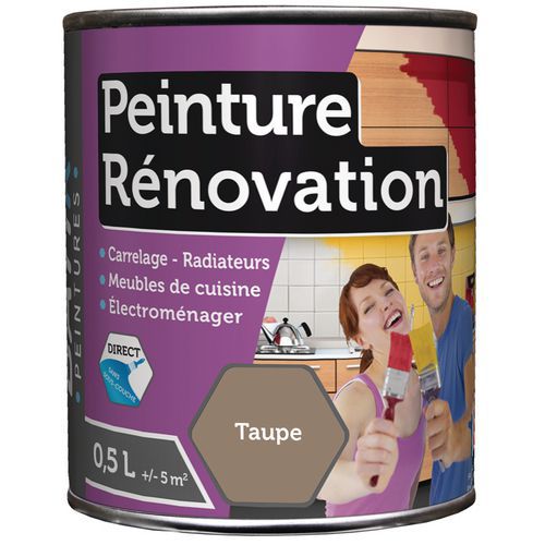 Peinture Renovation Satin Batir - 05l Taupe