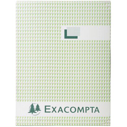 Registre 297x21 Cm Ligné Folioté 300 Pages