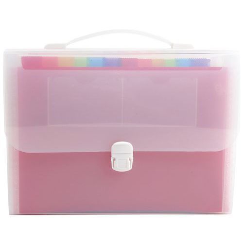 Trieur Valisette Avec Poignée 24 Compartiments Crystal - A4