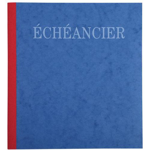 Piqûre 21x19cm Ã‰chéancier Tracé Journal 80 Pages