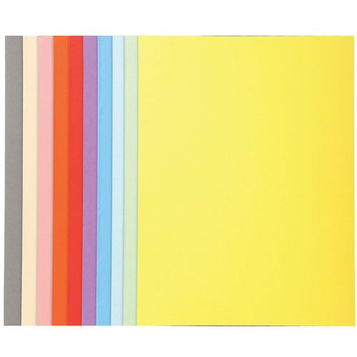 Paq. 50 Chem. Forever 170 100% Recyclé 24x32cm Col. Assort.