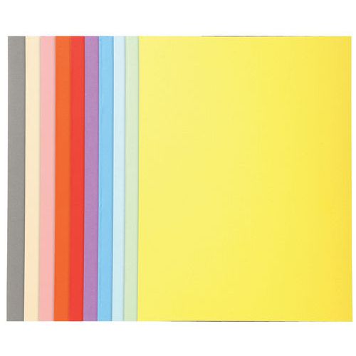 Paq. 100 Chem. Forever 170 100% Recyclé 24x32cm Col. Assort.