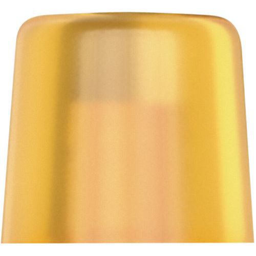 Embout Interchangeable En Cellidor - 100 L - 2x28mm