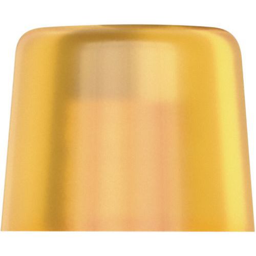 Embout Interchangeable En Cellidor - 100 L - 4x36mm