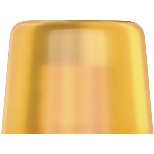 Embout Interchangeable En Cellidor - 100 L - 5x41mm