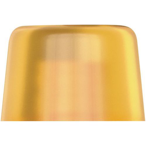 Embout Interchangeable En Cellidor - 100 L - 6x51mm