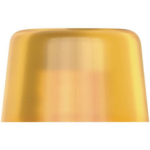 Embout Interchangeable En Cellidor - 100 L - 7x61mm