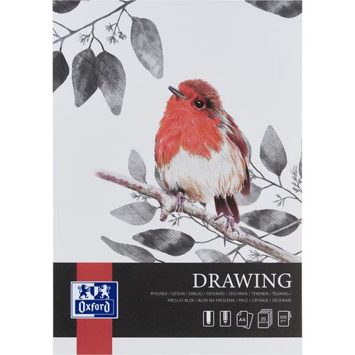 Bloc Dessin Drawing Oxford Art Endossé A4 25p 200g