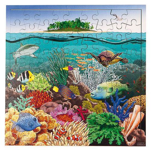 Puzzle des récifs coralliens thumbnail image 1