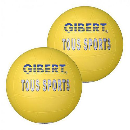 Ballon tous sports 'Gibert' (Lot de 2) thumbnail image 1