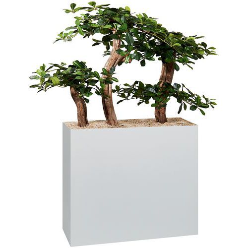 Jardinière Métal Sur Roulettes Hauteur 74 Cm Bonzaï Blanc